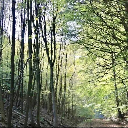 Exklusives Wohnen Am Stadtpark Apartamento Bad Driburg