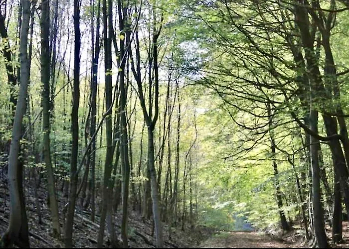 Exklusives Wohnen Am Stadtpark Apartamento Bad Driburg